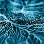 Effects of Anesthesia on the Blood-Brain Barrier